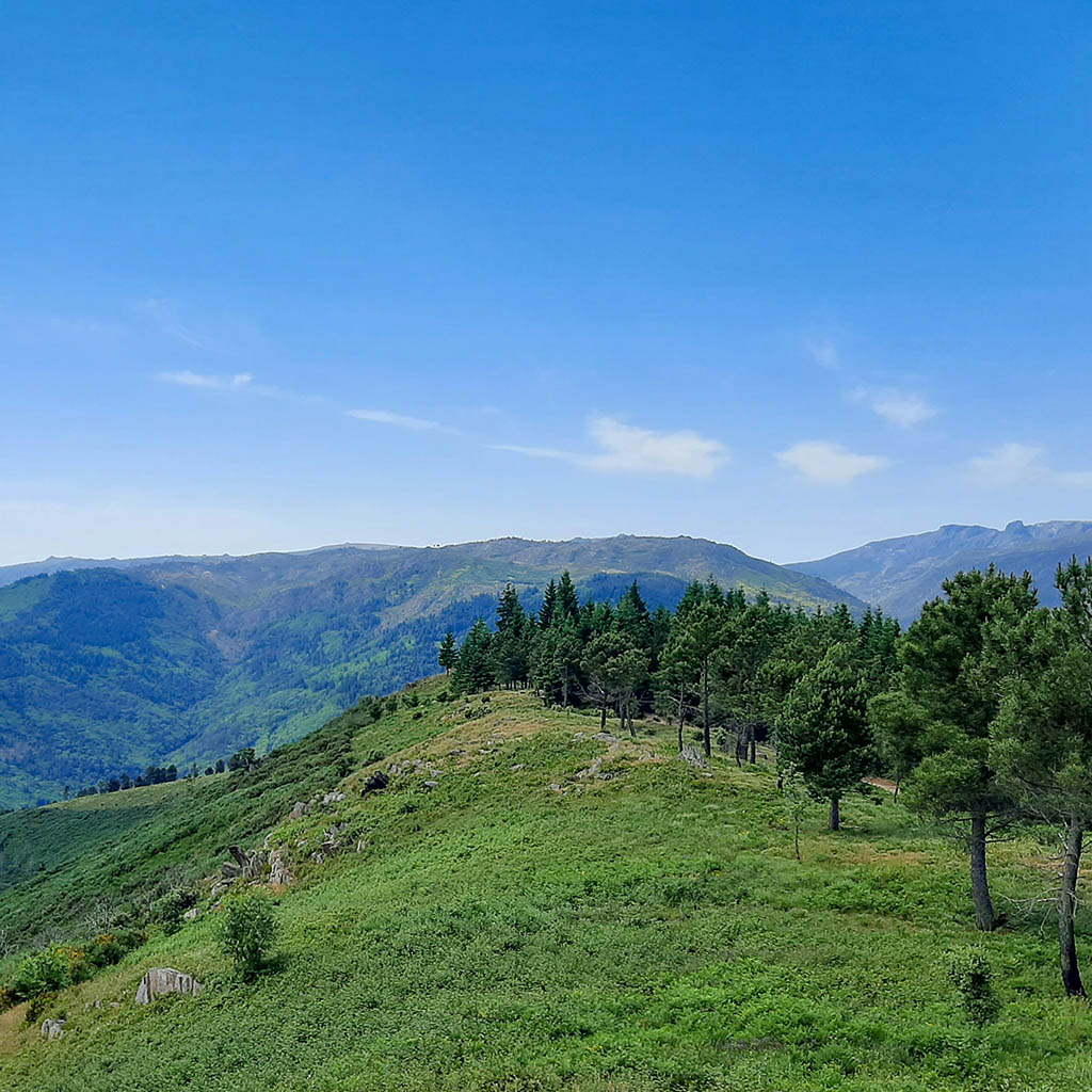 sofia-vila-flor-EYLCDbBcOzA-unsplash-Serra-da-Estrela-Alto-Sao-Lourenco-cropSquare-1024px